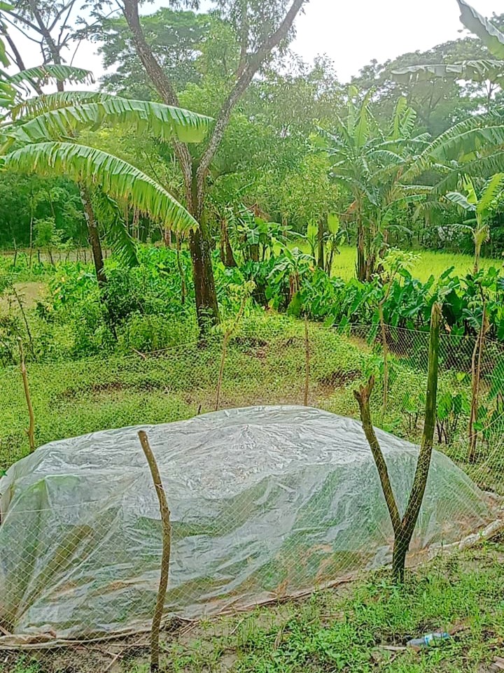 Image of মো: রিয়াজুল ইসলাম